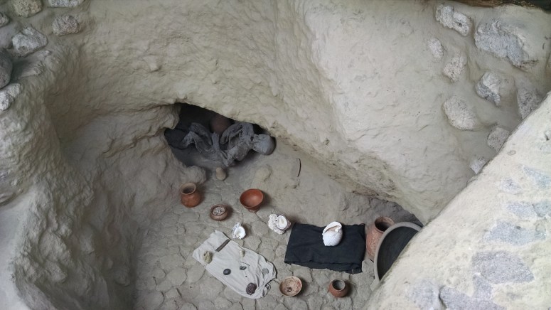 IMG_20151214_145401596