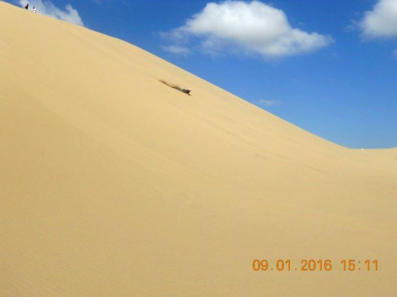 12489375_935143899866344_7367026140200925258_o